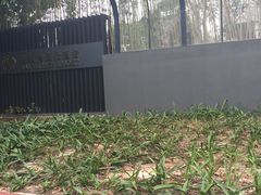 -蓝楹湾度假酒店