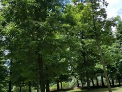 -贵阳市花溪国家城市湿地公园