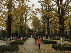 -百林公园-两江幸福广场