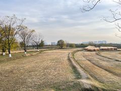 -盘龙城国家考古遗址公园