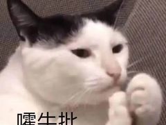 -老佛爷炭火蛙锅直营(清滨路总店)