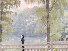 -艾溪湖湿地公园