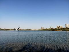 -东湖公园