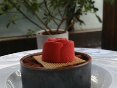 -梧桐
