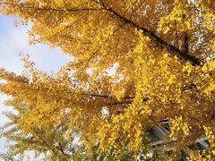 -东北大学(南湖校区)
