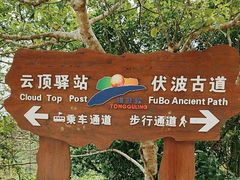 -海南铜鼓岭景区