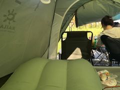 -春花秋色城市公园