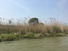 -长兴太湖图影湿地文化园
