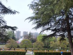 -城市运动公园(未央区)
