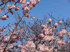 -武汉大学图书馆·文理学部总馆