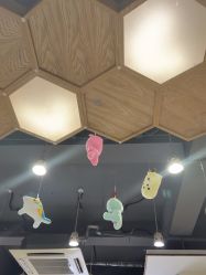 -心联形象设计·流星染