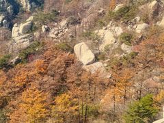 -崂山巨峰游览区