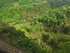 -石台牯牛降景区