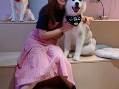 -Husky Go! 哈士奇体验馆·宠物咖啡厅狗咖