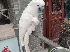 -四海楼(如皋定慧禅寺店)