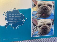 -美联众合动物医院·24h转诊中心