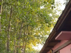 -郑州方特水上乐园