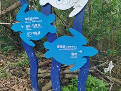 -广东惠东海龟国家级自然保护区