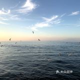 太羡慕大连人民了，在这个城市生活太幸福了吧