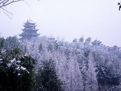 -龙头寺公园