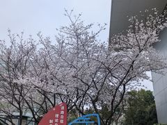 -马鞍山市博物馆