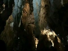 -怀托摩萤火虫洞