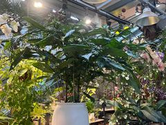 -双季花艺园艺市场(浦东店)