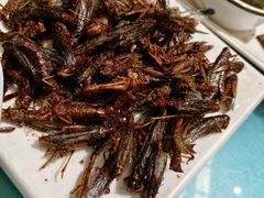 -老作坊2005(福源小区店)