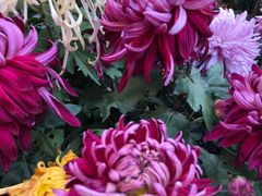 -上海大学（宝山校区）-图书馆