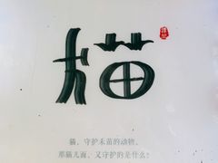 -老地方猫儿面(磁器口店)