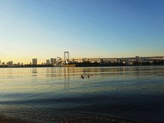 -台场海滨公园船码头