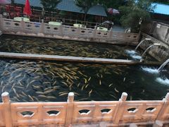 -建社鱼庄(管坪店)