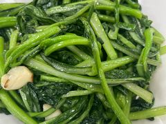 -洞背山庄(洞背院区式管理小区店)