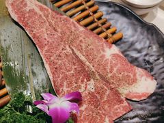 -猫爪爪原切自助烤肉(观音桥阳光世纪店)