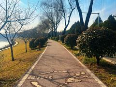-洨河生态公园