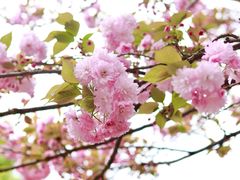 -贵阳市花溪国家城市湿地公园