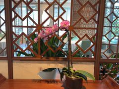 -洋洋中餐馆·SINCE 1997(信投店)