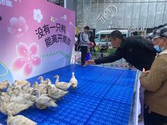 -金茂览秀城