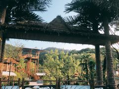 -杭州开元森泊度假乐园