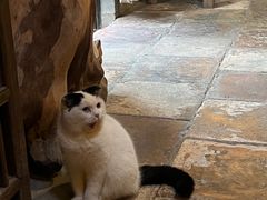 -老屋咖啡