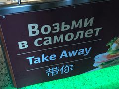-谢列梅捷沃国际机场