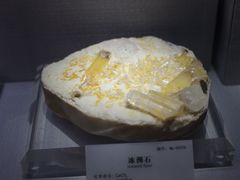 -湖南省地质博物馆