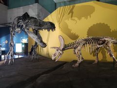 -湖南省地质博物馆