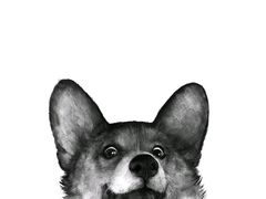 -陕味食族油泼面(同济南路店)