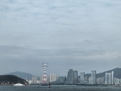 -演武大桥观景平台