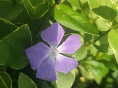 -白塘生态植物园