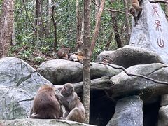 -普洱太阳河森林公园