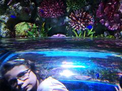 -暹罗海洋世界