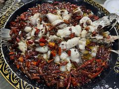 -金三可市井水煮鱼(金碧园店)