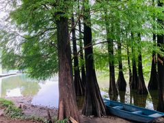 -华南国家植物园-售票处
